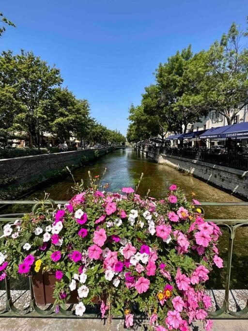 Lou Paseo : Appartement Brocante Centre Historique LʼIsle-sur-la-Sorgue Dış mekan fotoğraf