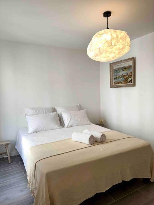 Lou Paseo : Appartement Brocante Centre Historique LʼIsle-sur-la-Sorgue Dış mekan fotoğraf