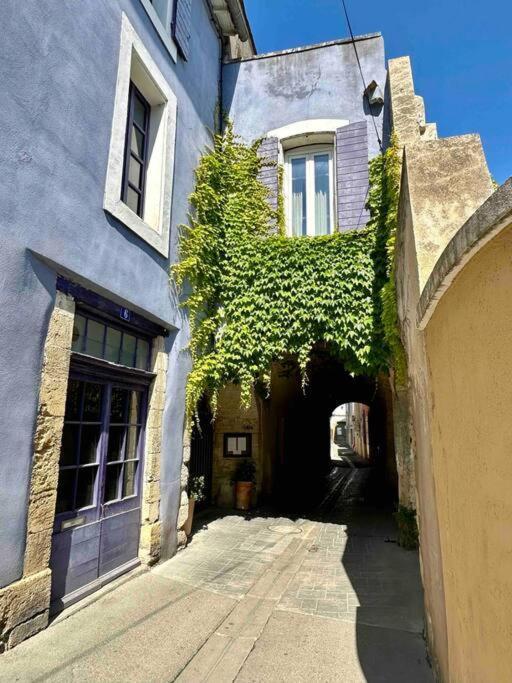 Lou Paseo : Appartement Brocante Centre Historique LʼIsle-sur-la-Sorgue Dış mekan fotoğraf