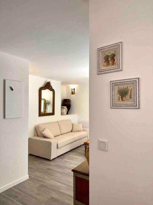 Lou Paseo : Appartement Brocante Centre Historique LʼIsle-sur-la-Sorgue Dış mekan fotoğraf